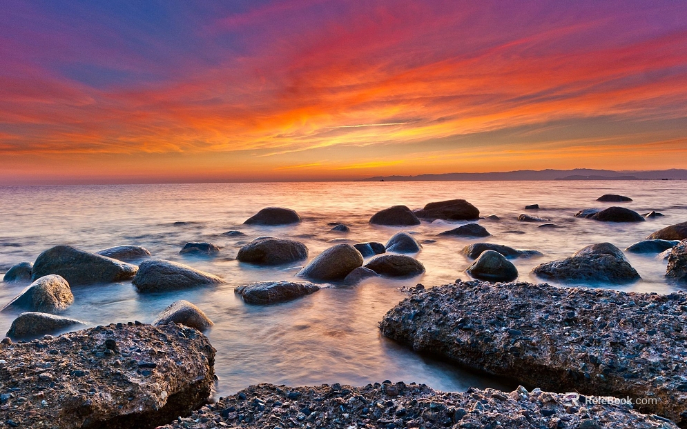 Wild Scenery texture