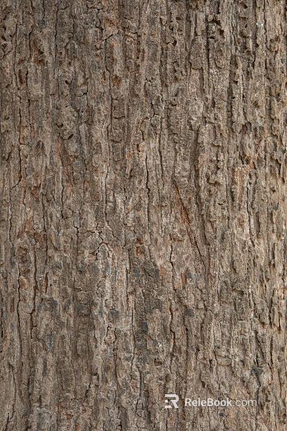 bark texture