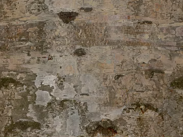 bark texture (ID:ffaeg20170)