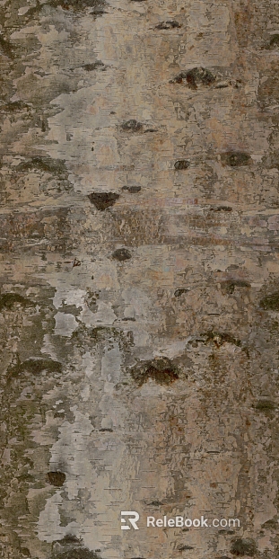 bark texture
