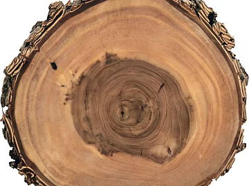 annual rings texture (ID:ffacg27272)