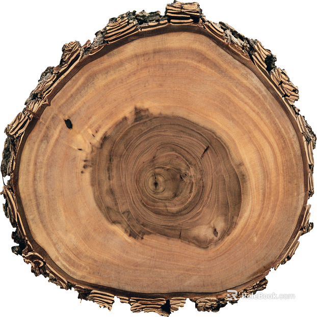 annual rings texture