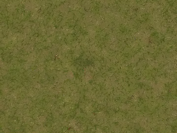 Turf texture (ID:ffach454965)