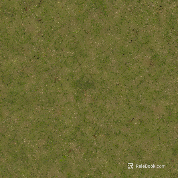 Turf texture