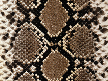 animal skin texture (ID:ffabg93770)