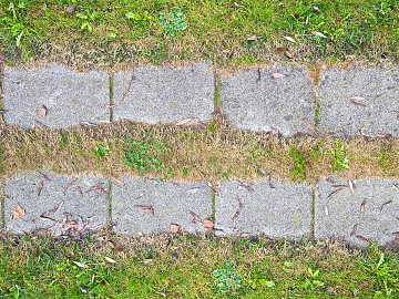 Park Permeable Brick Lawn Brick Grass Brick Parking Space Paving Paving texture (ID:ffach905260)