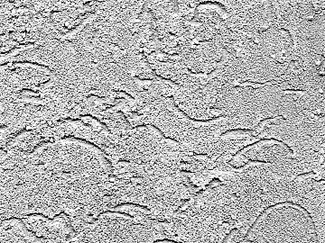 diatom mud texture (ID:ffabg77803)