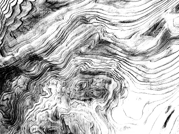 Black and White Bump texture (ID:ffacg63265)