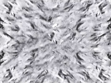 Black and White Bump 3d model