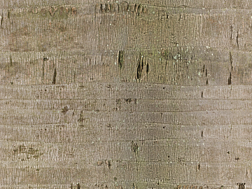 bark texture (ID:ffaag32547)