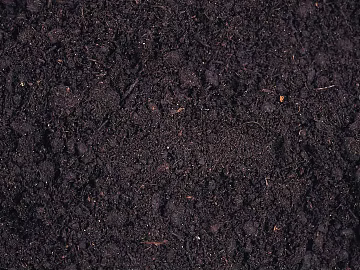 Mud texture (ID:ffaag54484)