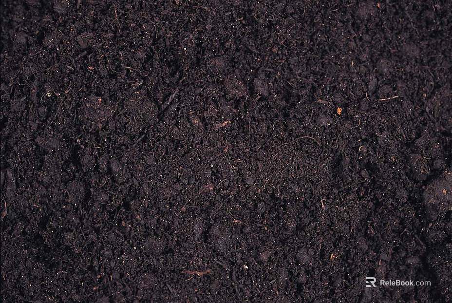 Mud texture