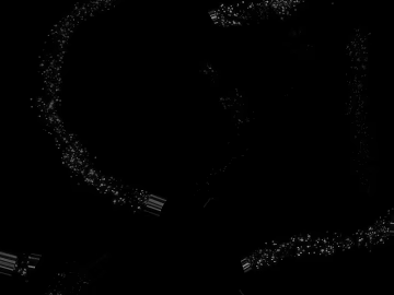 Black and white tree shadows texture (ID:ffaeh344236)