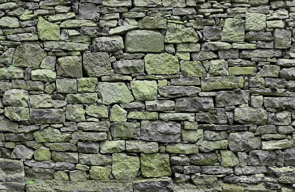 Green Planting on Cultural Stone Wall texture