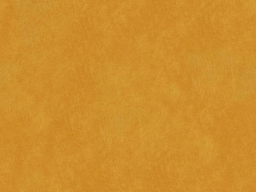 fine grain leather texture (ID:ffacg55299)