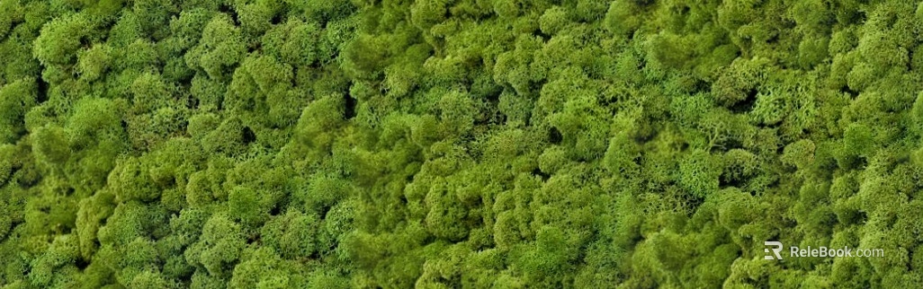 moss texture
