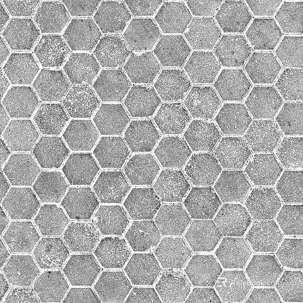 Grey cement hexagonal brick courtyard ground texture