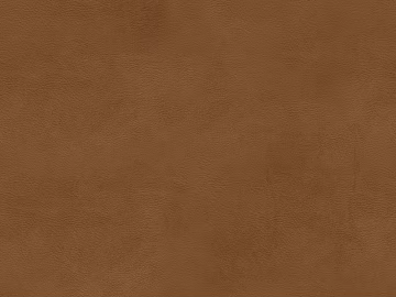 fine grain leather texture (ID:ffacg89754)