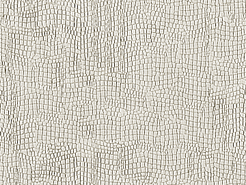 Coarse-grain leather texture (ID:ffaeg05795)