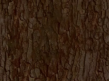 bark texture (ID:ffaeg13863)