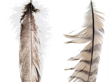 decorative painting texture (ID:ffacg27071)