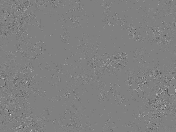 Black and White Bump 3d model