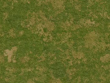 Turf texture (ID:ffaeh404467)