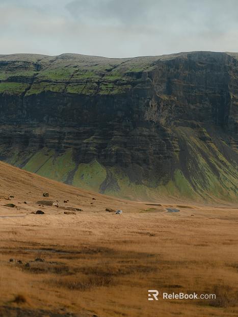 Wild Scenery texture