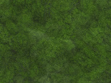 Turf texture (ID:ffabg75765)