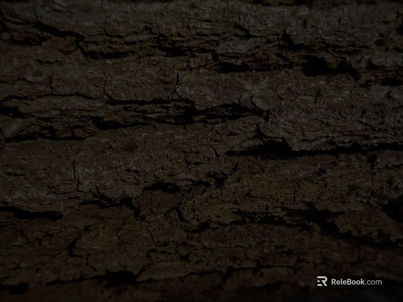 bark texture