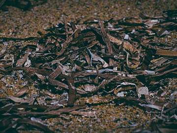 fallen leaves texture (ID:ffagg14688)