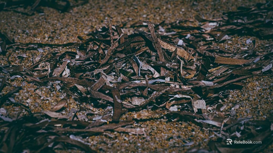 fallen leaves texture