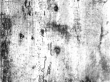 Black and white wood grain texture (ID:ffaeg36664)
