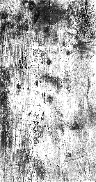 Black and white wood grain texture