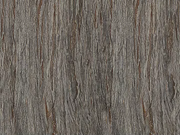 bark texture (ID:ffaeg80912)