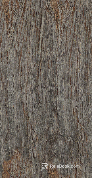 bark texture