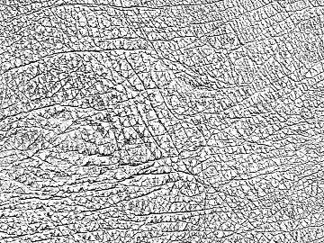 Black and White Bump texture (ID:ffaag66009)