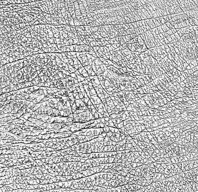 Black and White Bump texture