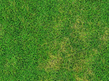 Turf Ground Grass Lawn Green Grass Grass Slope texture (ID:ffajh353622)