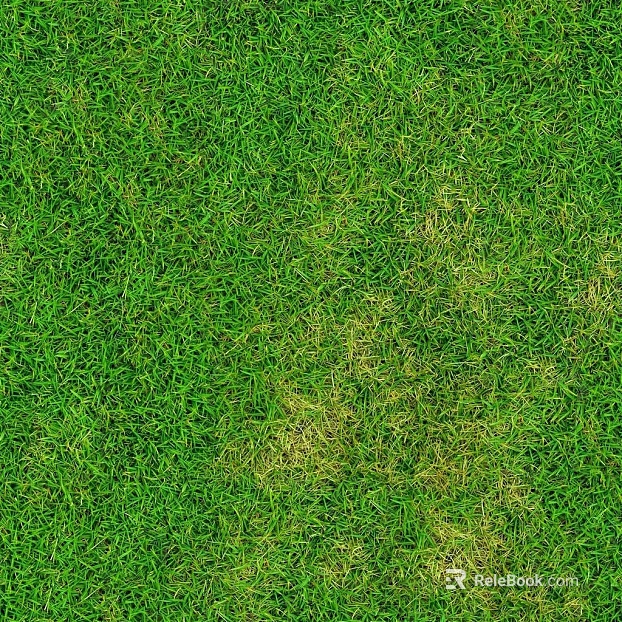 Turf Ground Grass Lawn Green Grass Grass Slope texture