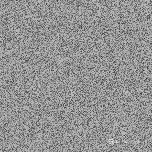 Plain Tile Seamless texture