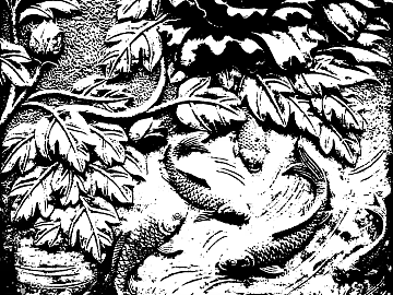 Highlight Mask texture (ID:ffajg48452)