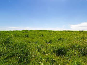 Wild Scenery texture (ID:ffabg78580)