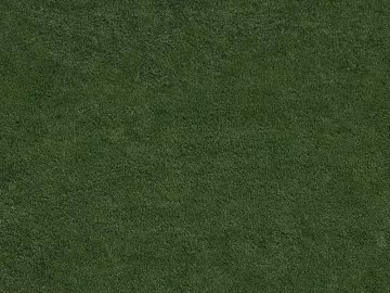 Grassland texture (ID:ffabg12282)