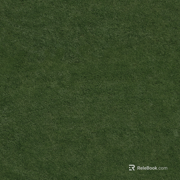 Grassland texture