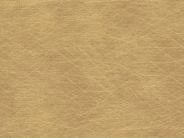 Golden brushed garbled steel plate 3d model