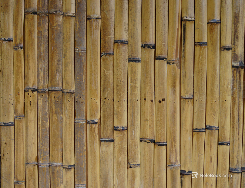 Bamboo texture
