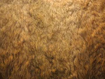 animal fur texture (ID:ffaaf2352)