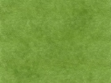 Grassland texture (ID:ffaag97500)
