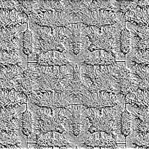 Black and White Bump texture
